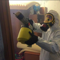 Уничтожение клопов в квартире. Михайловка